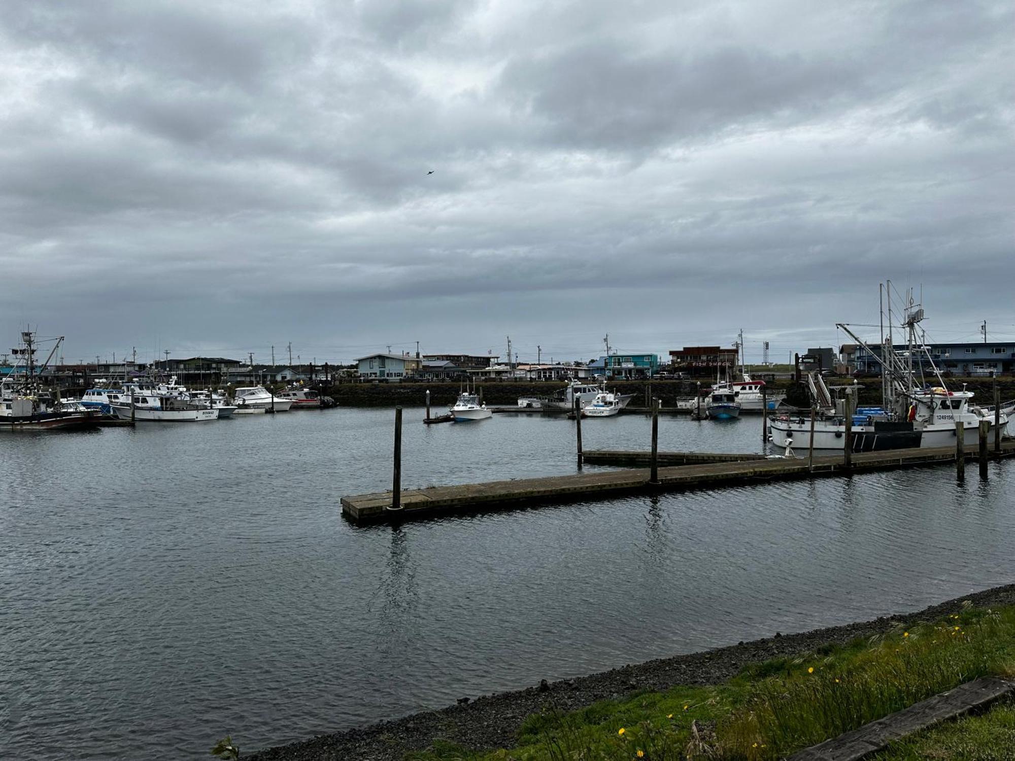 Westport Marina Cottages Kültér fotó