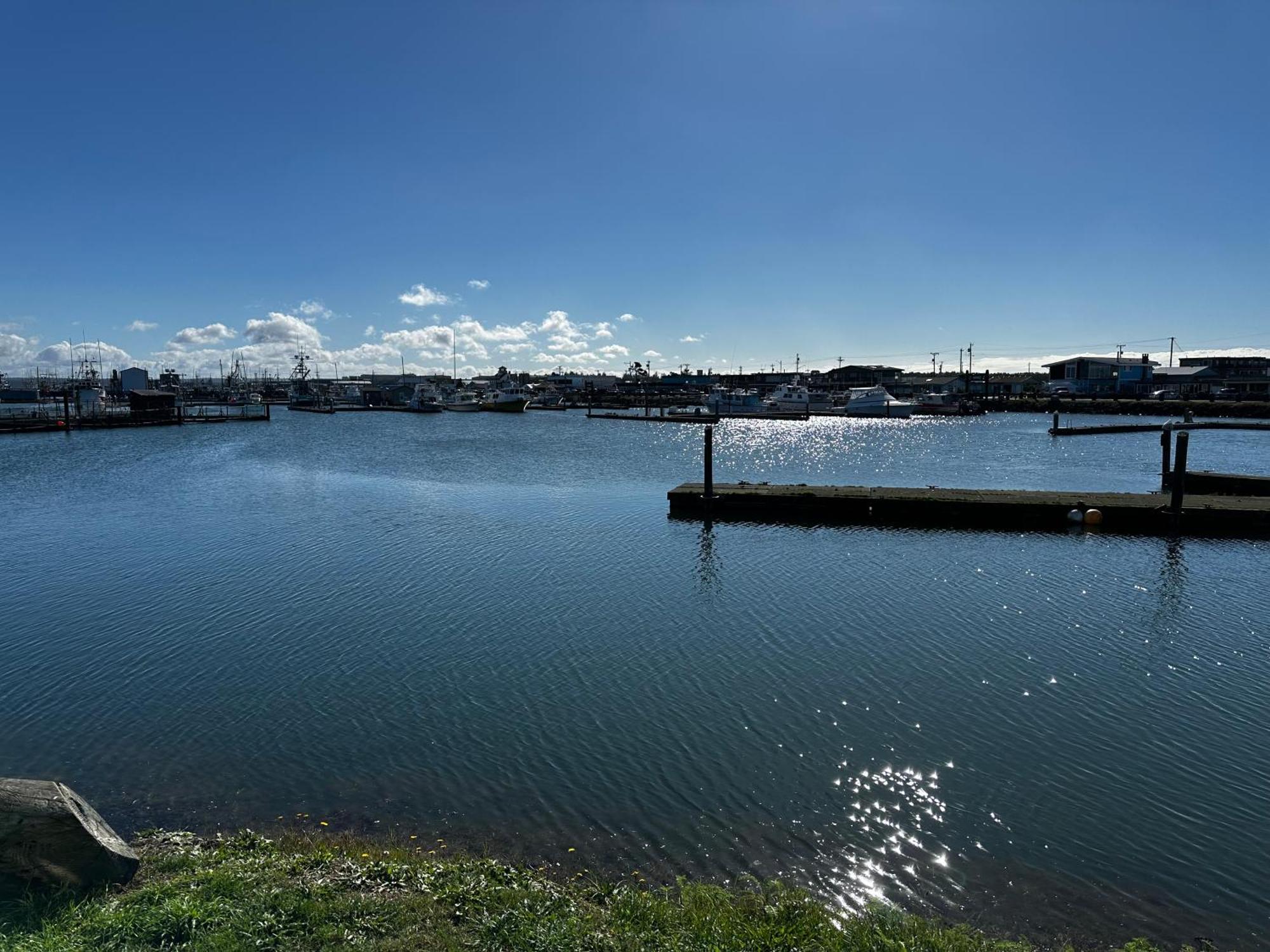 Westport Marina Cottages Kültér fotó